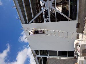 20170601_095034 (Medium)